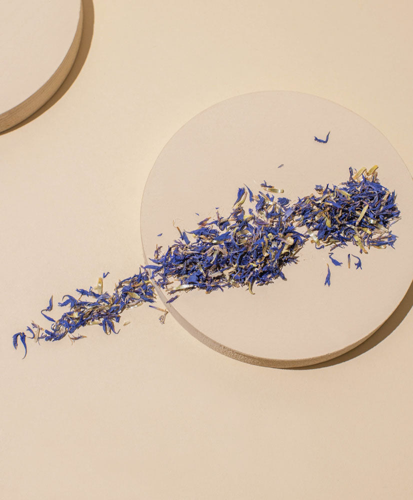 blue cornflower petals