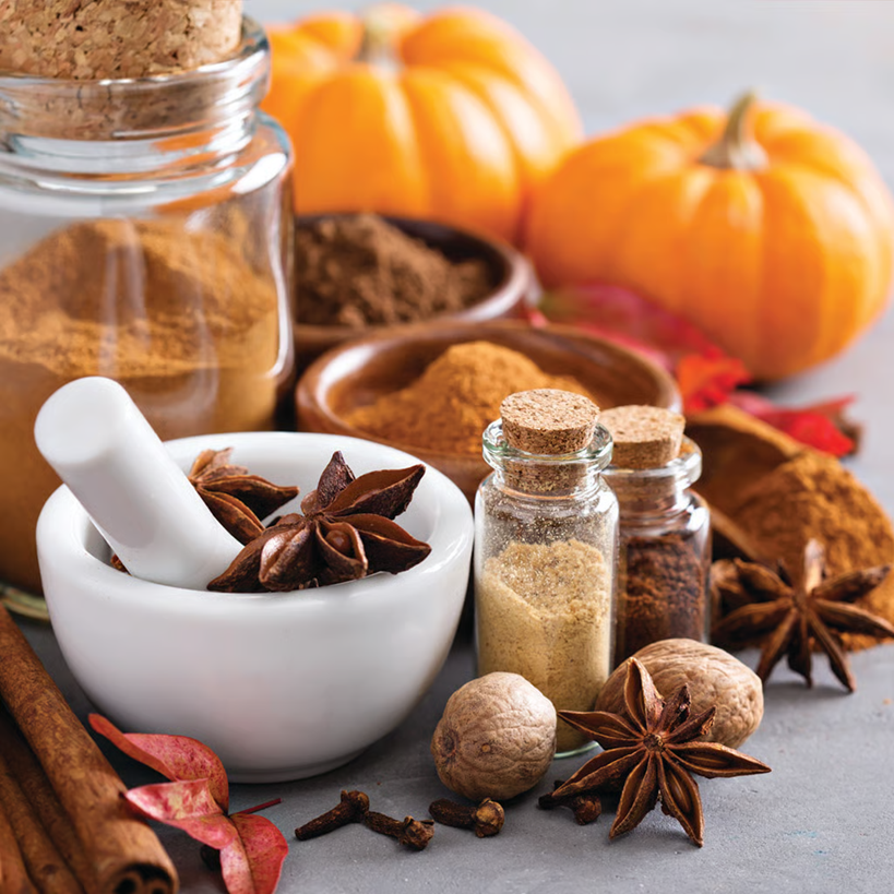 EAP Innovations Pumpkin Spice & Maple Premium Fragrance Oil, 1 lb