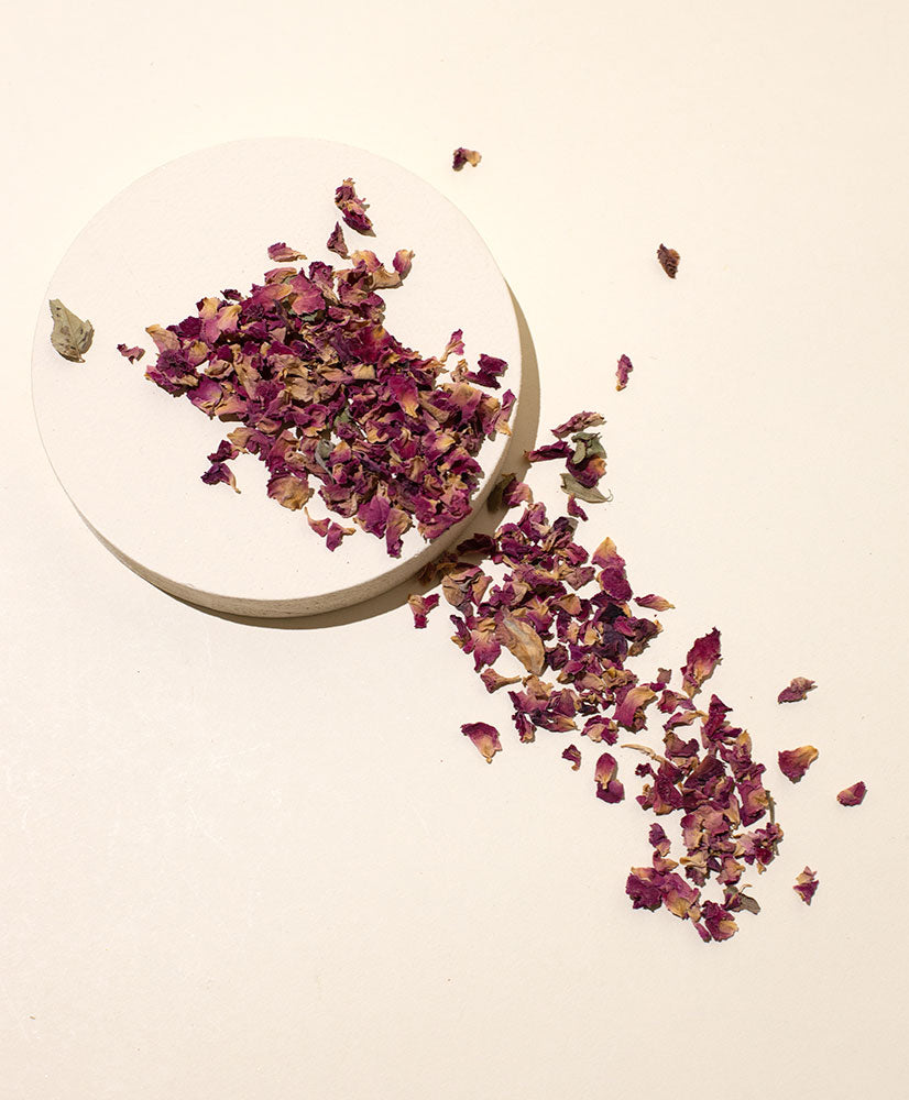 red rose petals